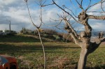 Annuncio vendita Terreno vista mare su San Benedetto del Tronto